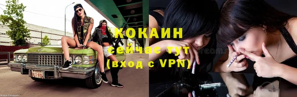 шишки Абаза