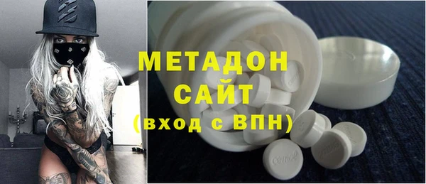 шишки Абаза