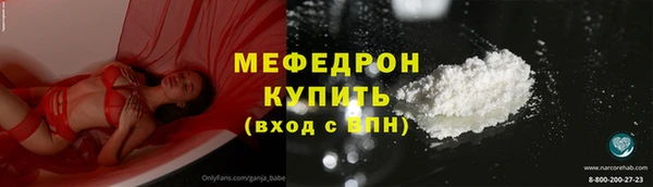 шишки Абаза