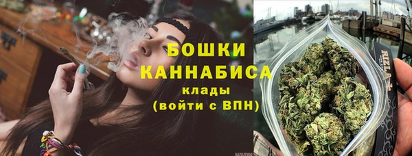 шишки Абаза