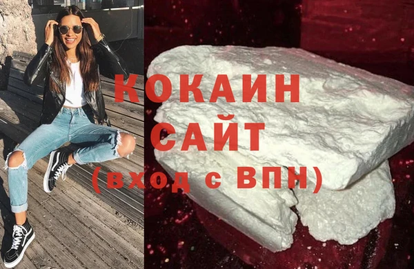 шишки Абаза