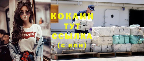 шишки Абаза