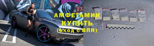 шишки Абаза