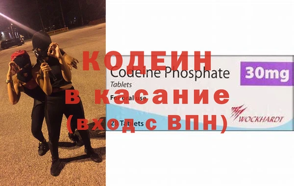 шишки Абаза