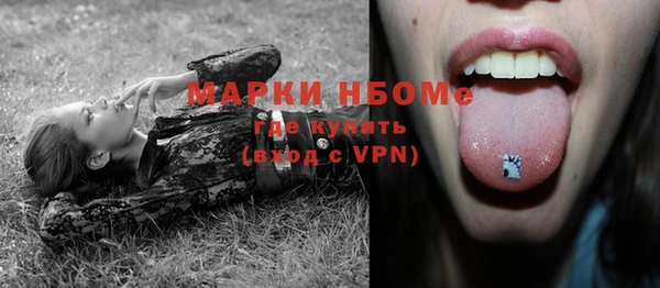 шишки Абаза